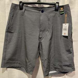 Flomotion Gray Men's Shorts